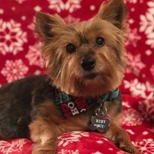 Meet your Posher, Jennafer